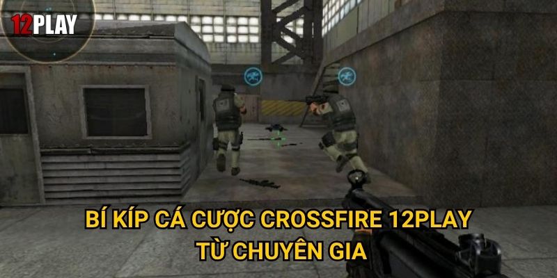 Bí kíp cá cược CrossFire 12play từ chuyên gia