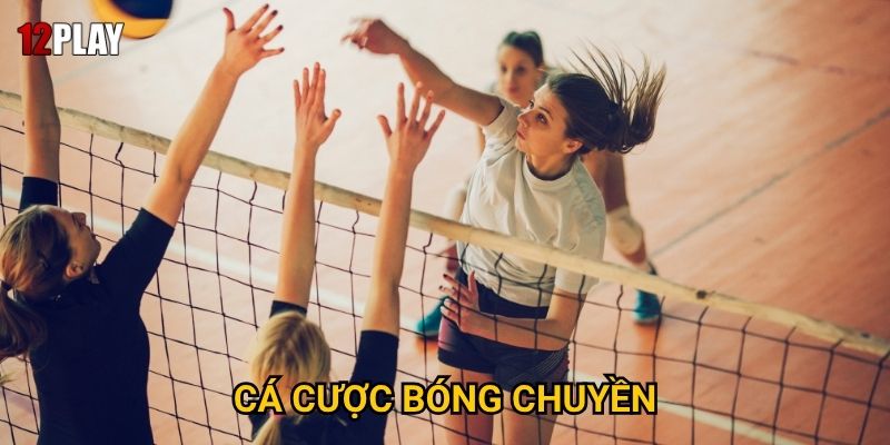 Vì sao cá cược bóng chuyền lại hấp dẫn tại 12play?
