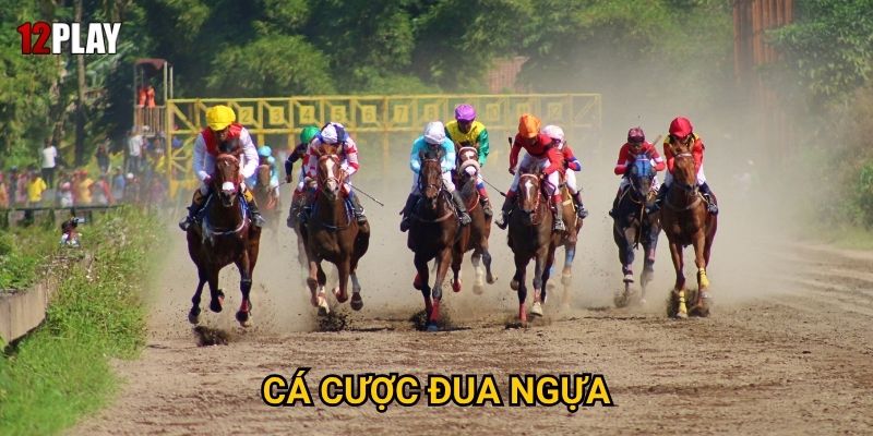 Vì sao cá cược đua ngựa mang đến cảm giác phấn khích tại 12play?