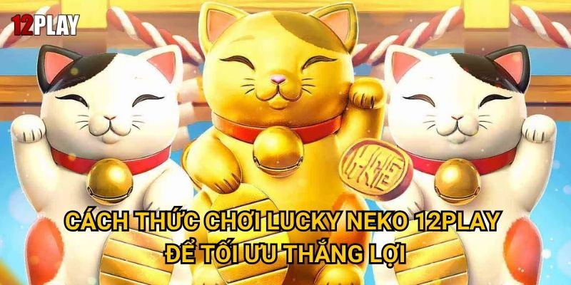 Cách thức chơi Lucky Neko 12play để tối ưu thắng lợi