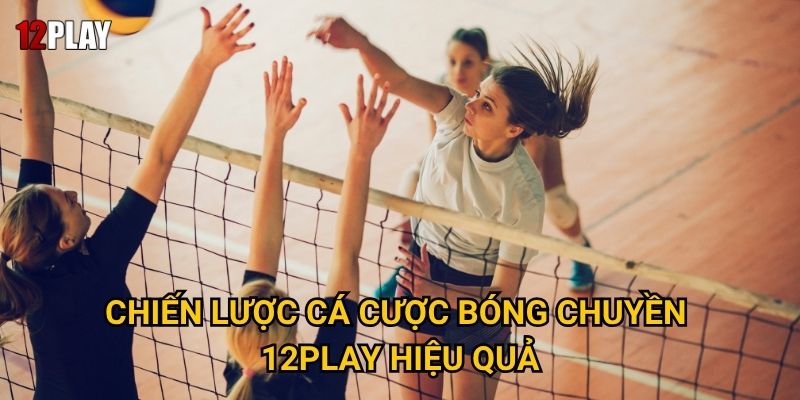 Chiến lược cá cược bóng chuyền 12play hiệu quả