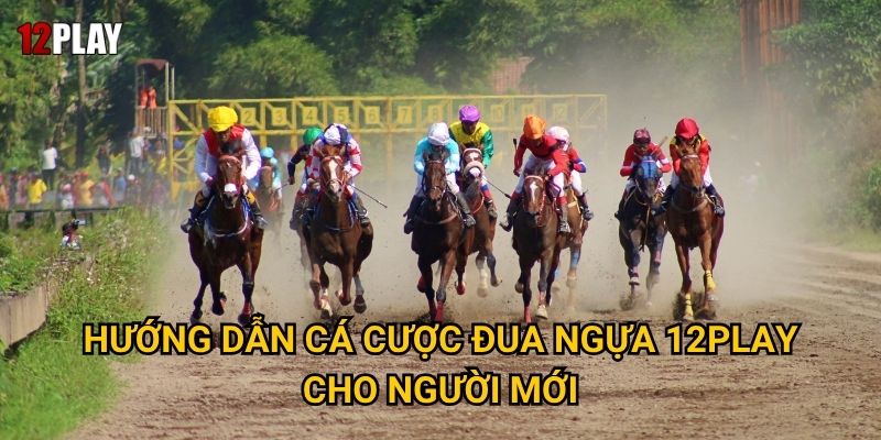 Hướng dẫn cá cược đua ngựa 12play cho người mới