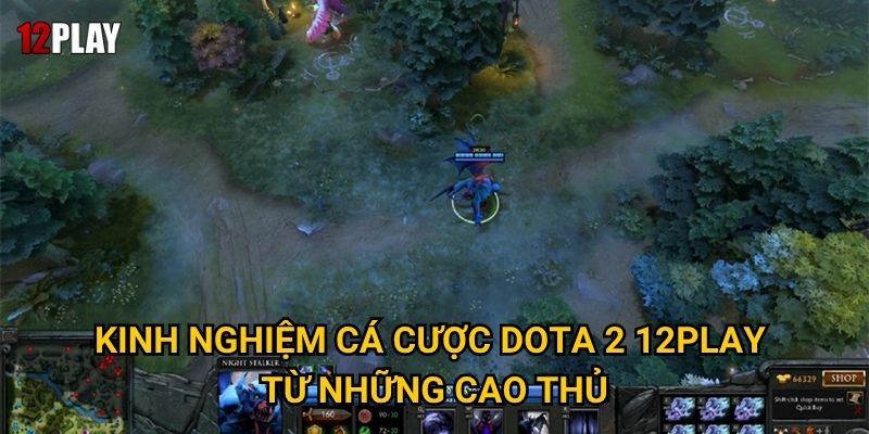 Tại sao cá cược Dota 2 lại trở thành xu hướng hot nhất tại 12play? 2 Kinh nghiệm cá cược Dota 2 12play từ những cao thủ