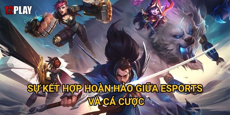 Sự kết hợp hoàn hảo giữa esports và cá cược