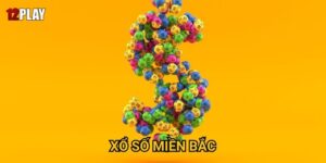 Vì sao xổ số miền Bắc luôn thu hút đông đảo người chơi tại 12play?